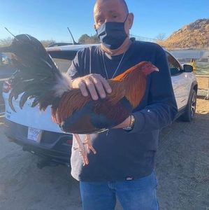 Meet your Posher, Manuel